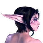 Nachtelfen Ohren & Make-up