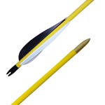 Pfeil Tiger 28